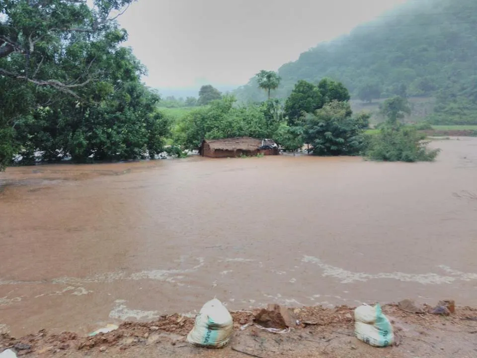  Six Odisha district collectors put on flood alert