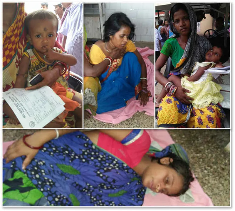  Five fall ill after consuming poisonous mushroom in Odisha