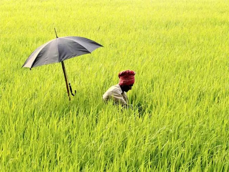  CCEA approves increase in MSP for all kharif crops