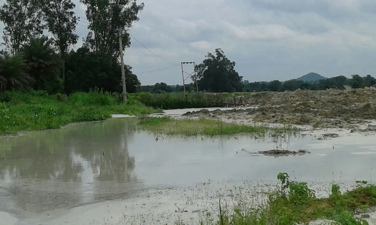  Vedanta ash pond wall collapses in Odisha's Jharsuguda; paddy fields affected