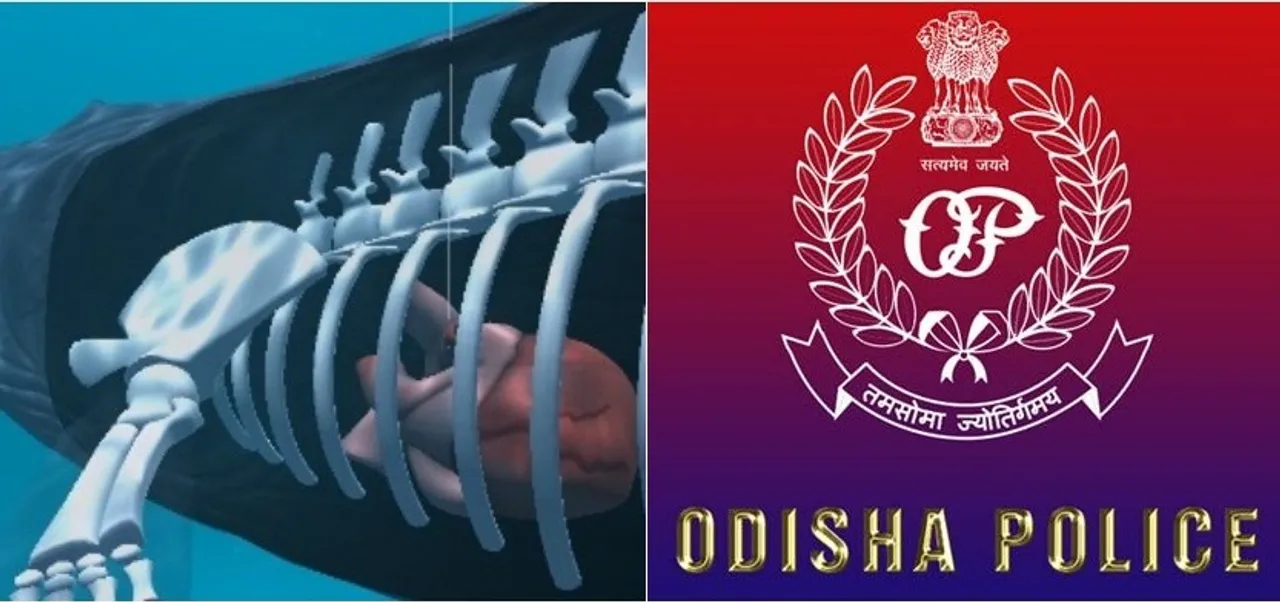  Odisha police gears up to remove 'Blue Whale' links from social media