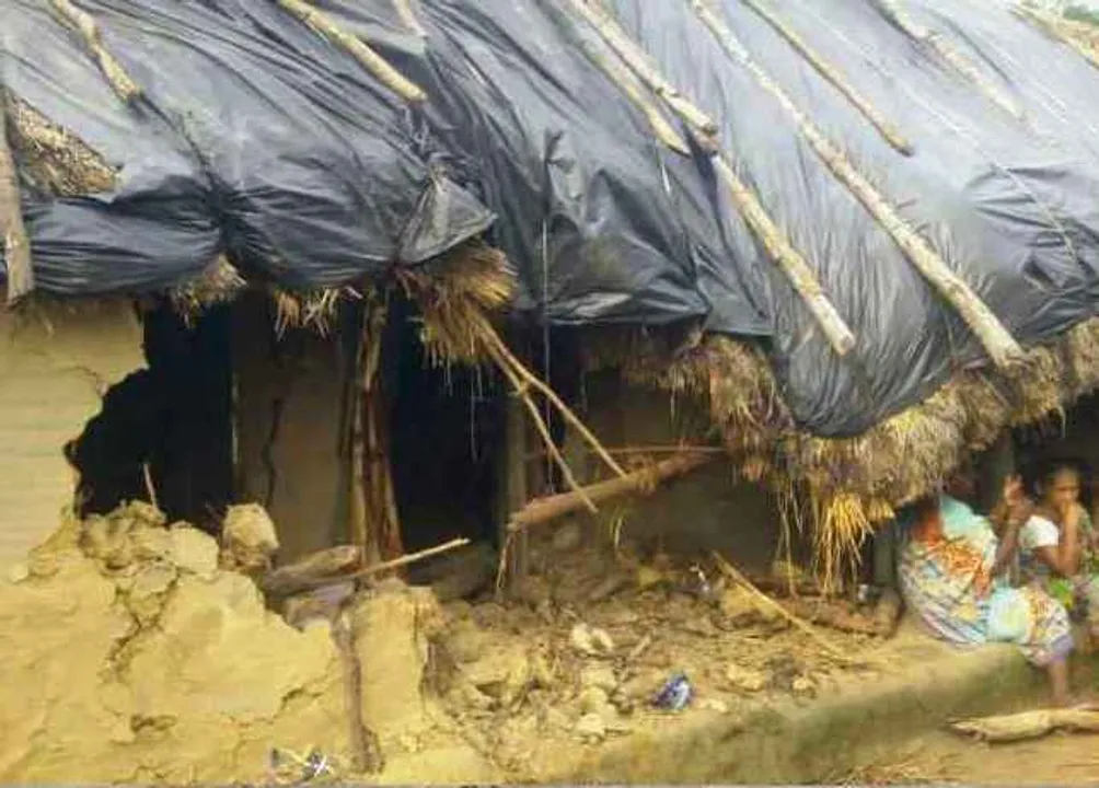  Elephant tramples woman to death in Odisha's Dhenkanal
