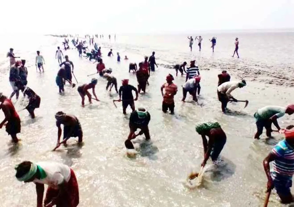  Fishermen excavate river bed for livelihood in Odisha