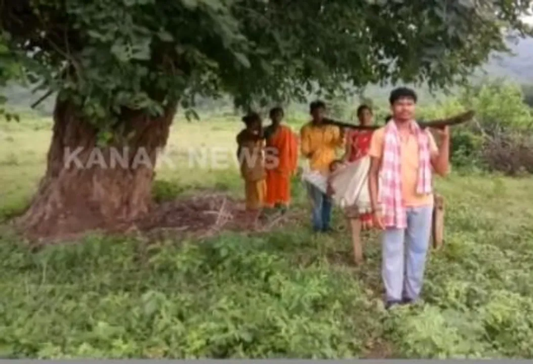  No road to remote village in Odisha, Expectant mother carried on cot