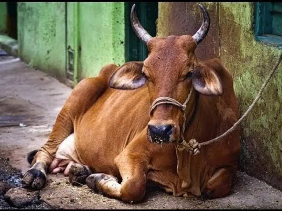  Pic Courtesy: YouTube 