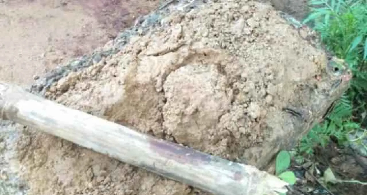  Youth killed, three injured in clash in Odisha's Khurda