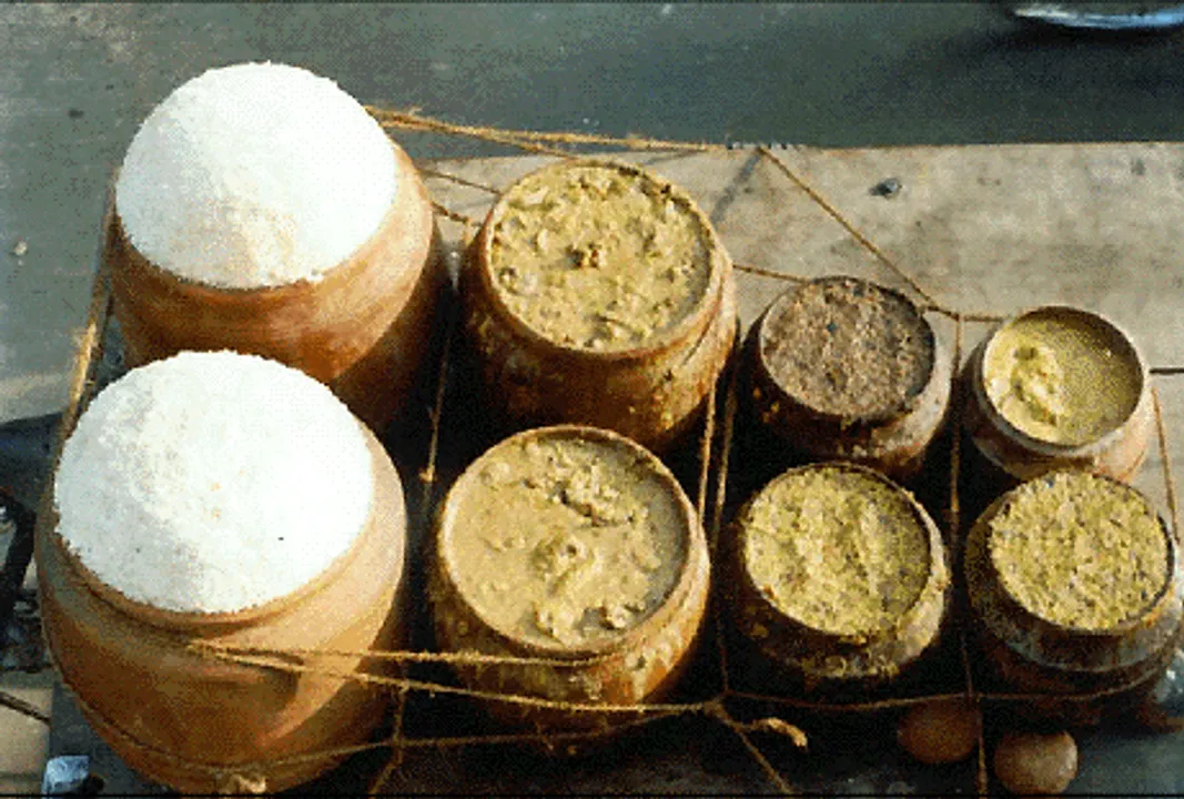  Worm-infested substandard rice for Lord Jagannath in Odisha's Puri