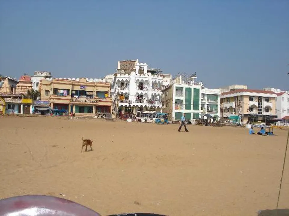  NGT restricts Puri hotels from bore water in Odisha
