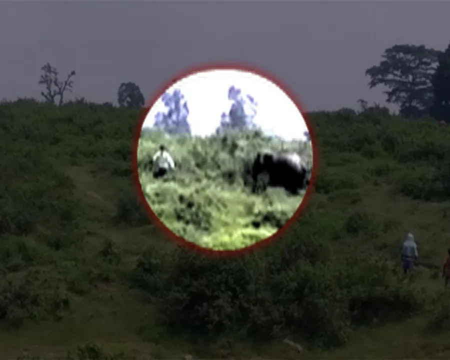  Jumbo kills drunken youth taking selfie in Odisha