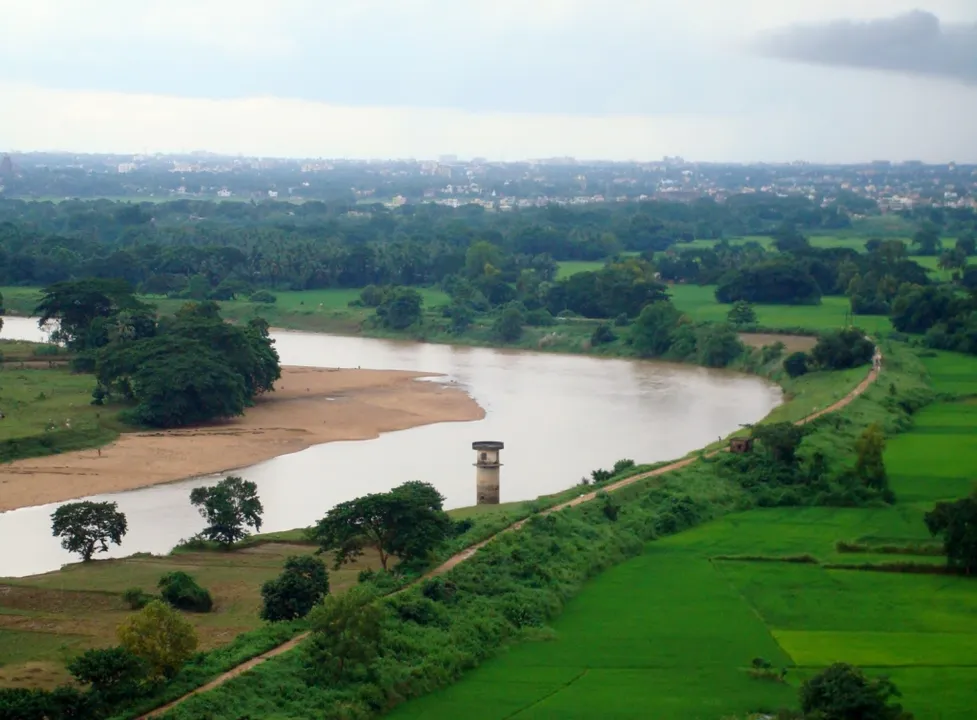  Daya river water not fit for drinking, farming: Odisha Minister