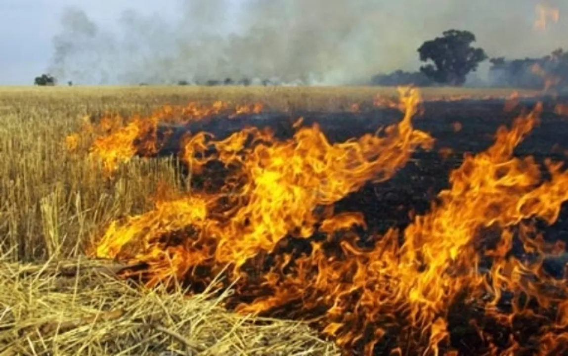  Odisha farmer ends life, a day after torching crops