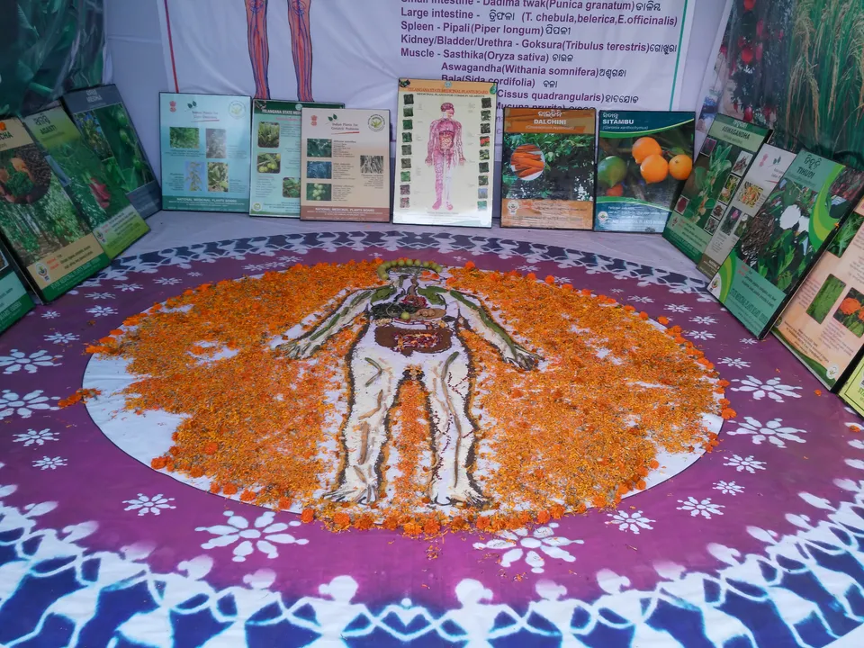  Ayurveda with modern twist at city's herbal fair