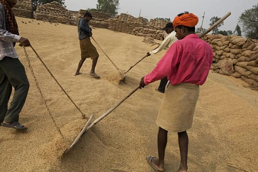  Odisha Cabinet okays Food and Procurement policy for Kharif