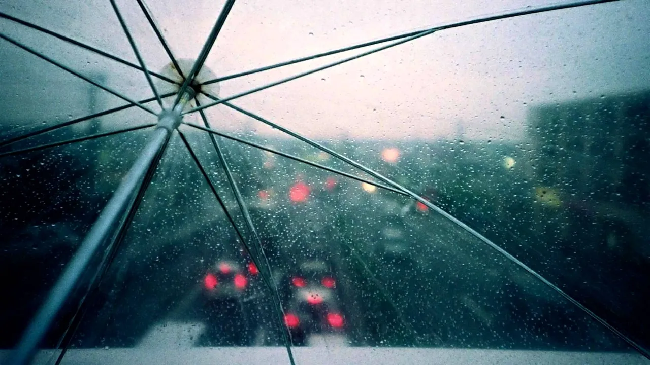  Picture Courtesy: thisispopulist.com 