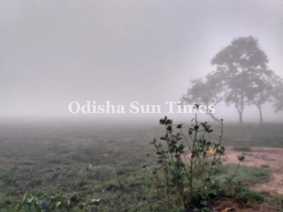  Odisha: Intense cold wave conditions from Jan 29, rain likely at some places