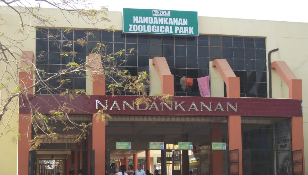  Female Nilgai dies at Nandankanan Zoo