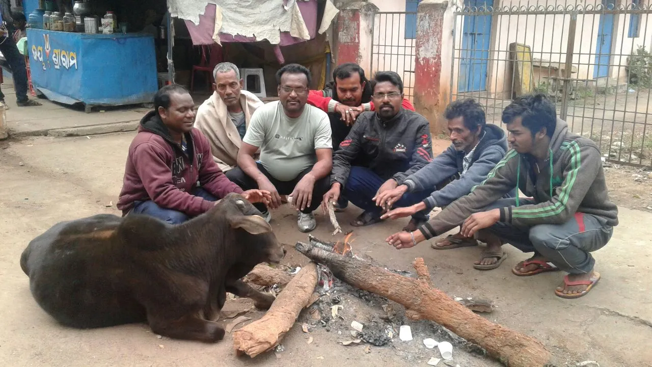  Cold wave grips Odisha; mercury drops to 7.5 degree C in Daringbadi