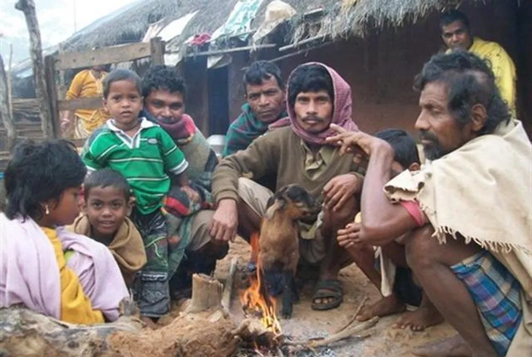  Cold wave grips Odisha, Phulbani coldest at 3.5 degree C