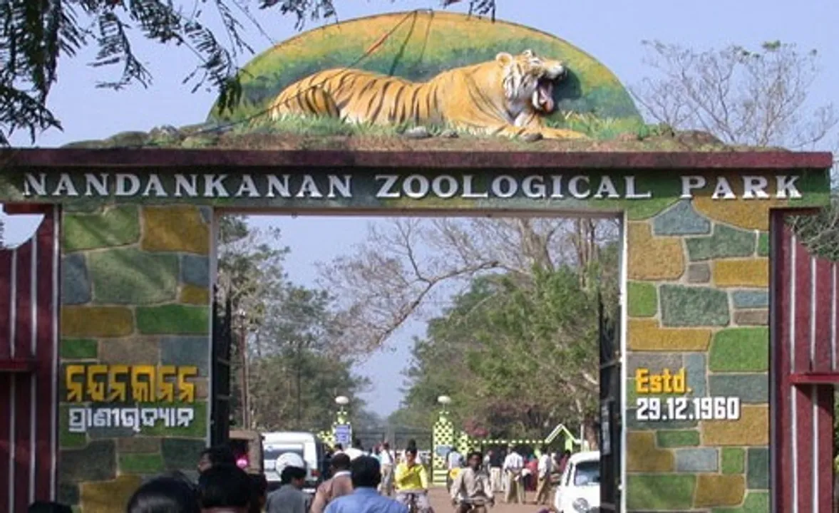  One more elephant dies at Odisha’s Nandankanan Zoo