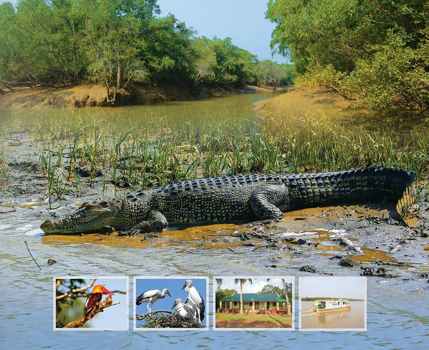  Bhitarkanika Nature Camp/Picture Courtesy: Eco Tour Odisha/Facebook 