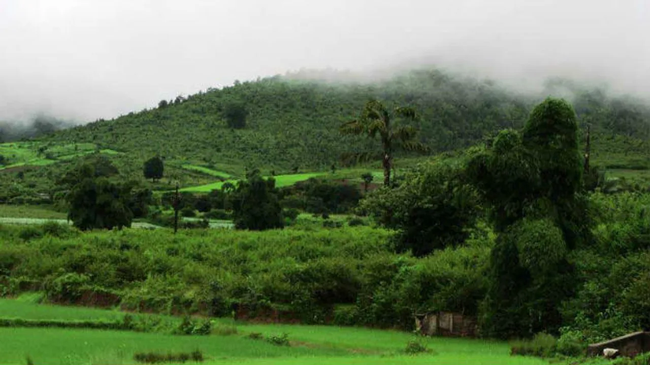  Picture courtesy: www.india.com 