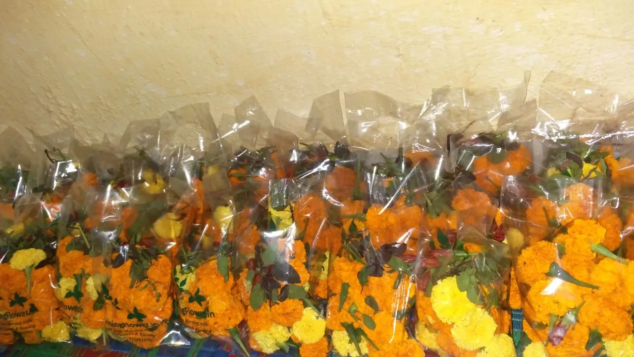  Flowers for morning puja just a click away