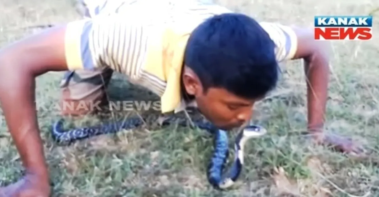  Kiss for hiss: Odisha youth's daring act catches many eyes