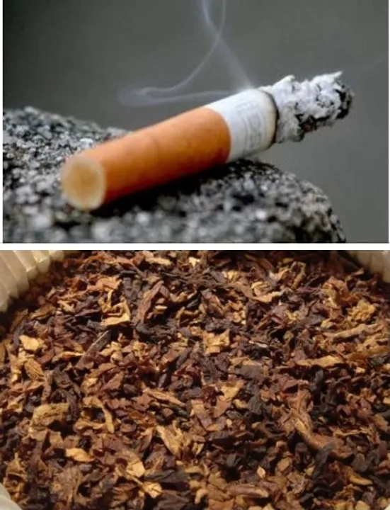  GATS-2: Smoking declines, Khaini, Gudakhu users rise in Odisha