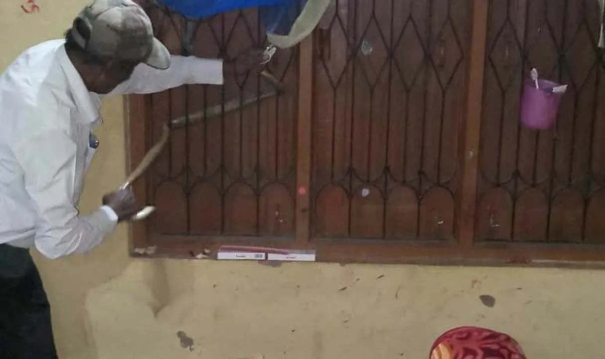  Snake rescued from women's hostel in Odisha capital