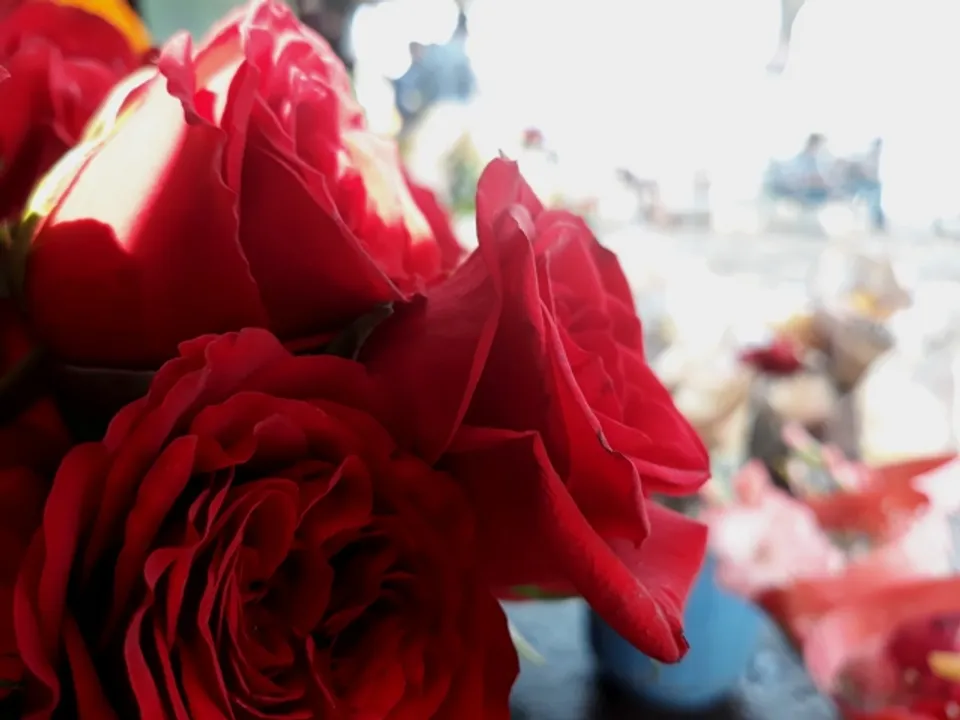  Rose Day in Odisha capital a damp squib!