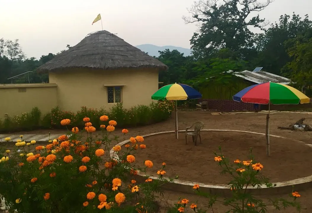  Picture Courtesy: Deep Forest Farmstay 