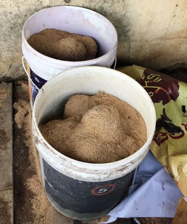  32 crude bombs seized in Odisha capital; 5 arrested