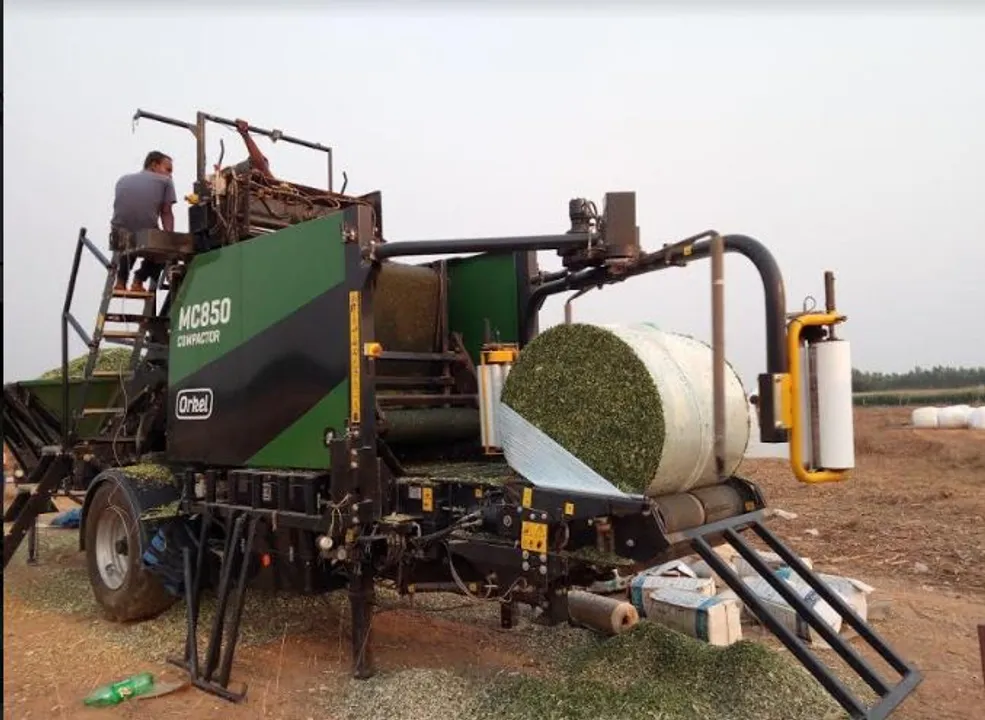  First corn silage plant comes up in Odisha