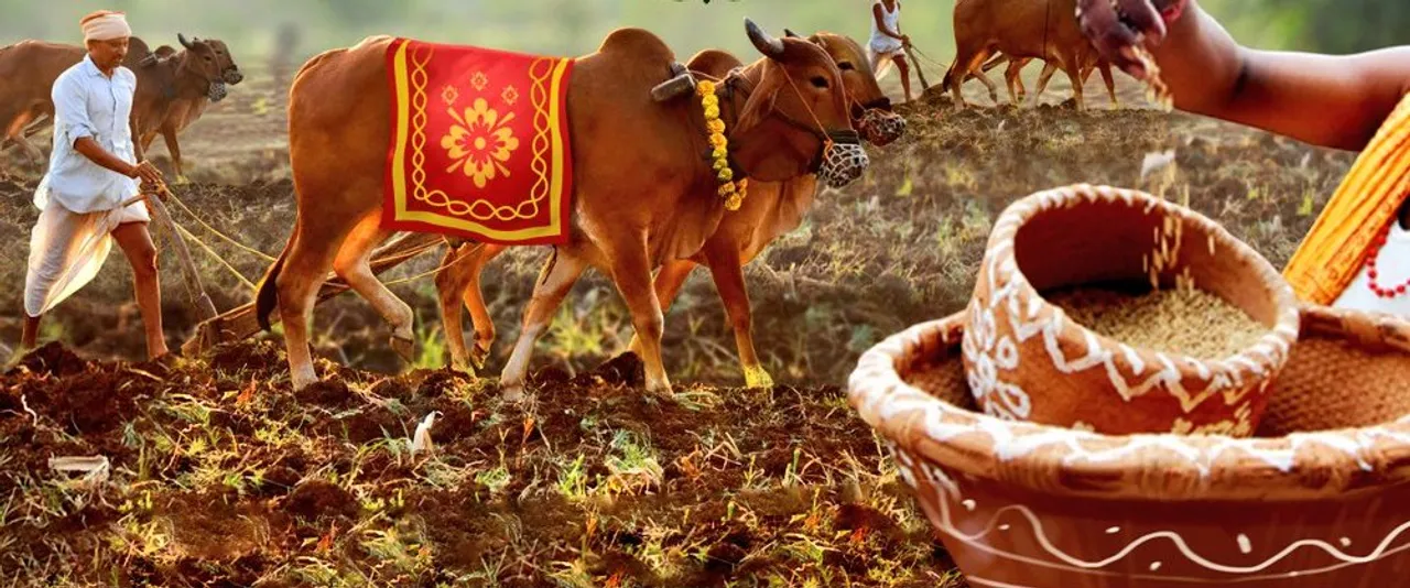  Odisha celebrates agrarian festival 'Akshaya Tritiya'