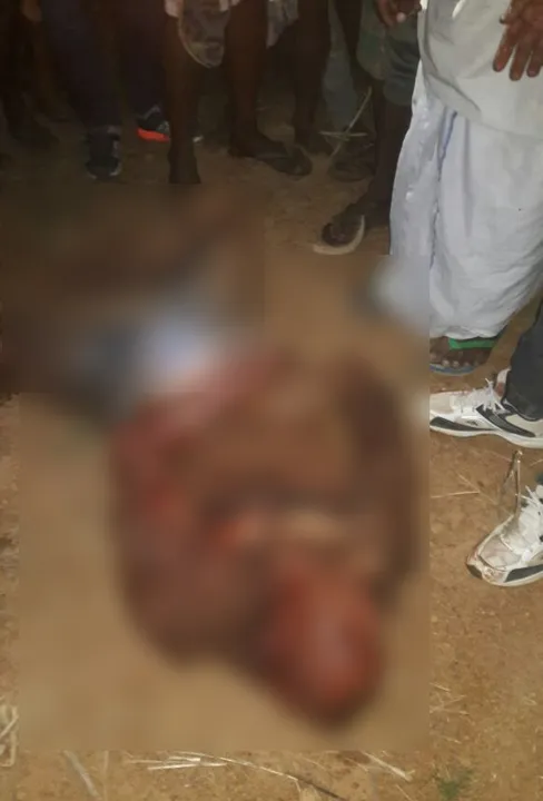  Watch: Man killed while taking selfie with bear in Odisha