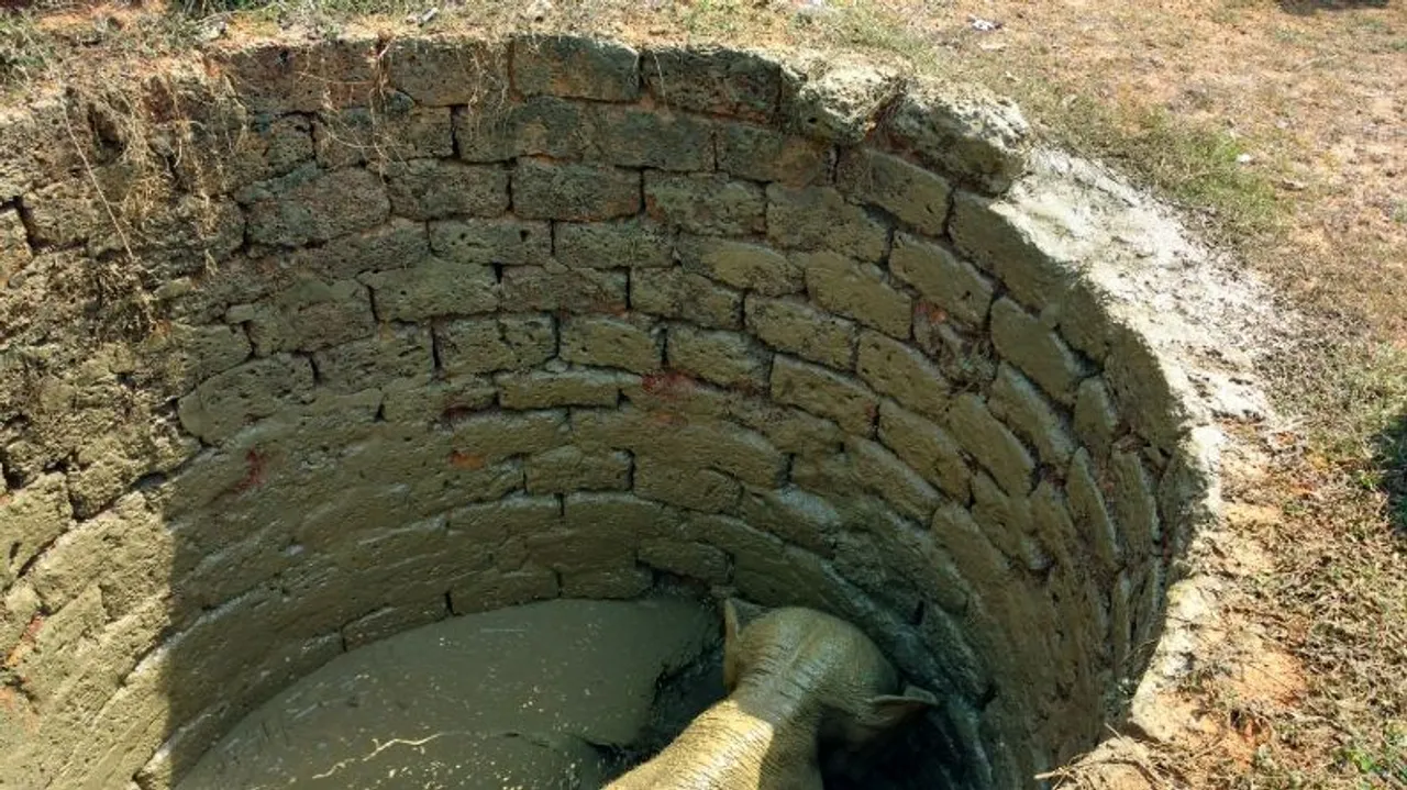  Elephant calf rescued from well in Odisha's Dhenkanal