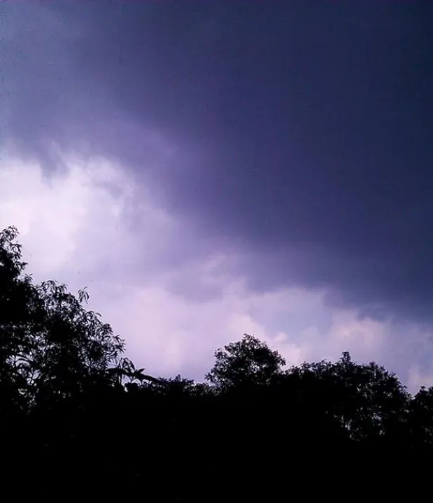  Monsoon to touch Odisha coast on June 6!
