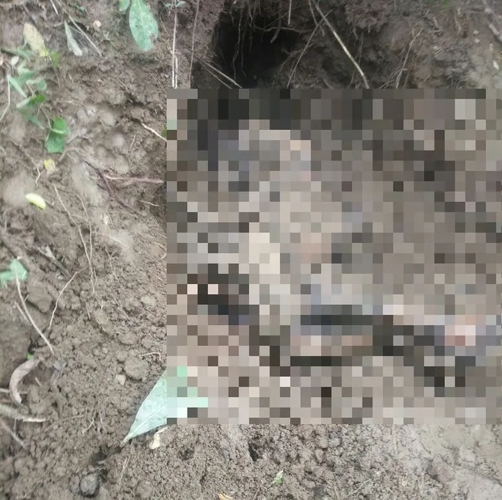  Man killed over sorcery in Odisha's Rayagada; police recover buried body