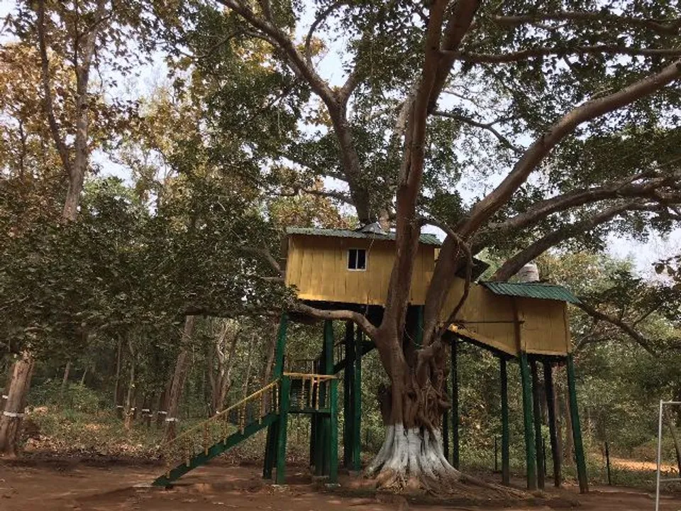  'Tree top house' to woo tourists in Odisha