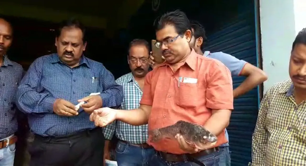  Cancer-causing formalin detected in fishes in Odisha's Sambalpur