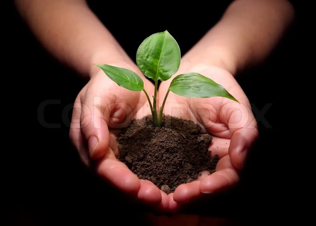  Get sapling free on purchase of new vehicles in Odisha capital