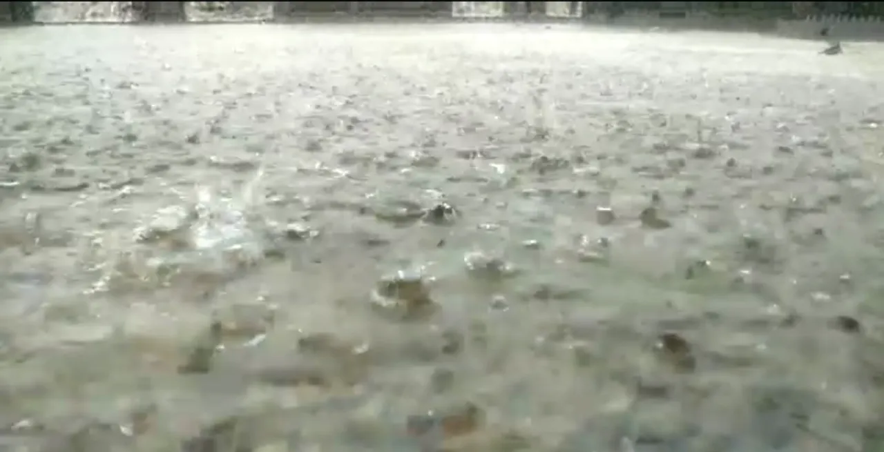  Heavy rain: Holiday declared for schools in these Odisha districts