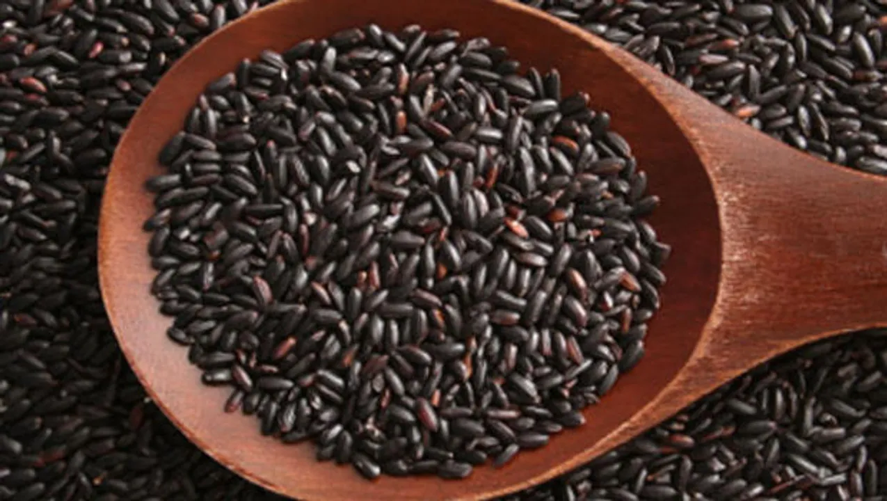  Black rice makes a comeback in Odisha from brink of extinction