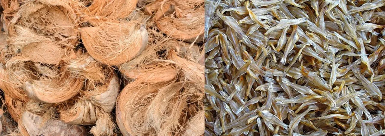  Coir, dry fish among 7 clusters under MSME get nod from Odisha panel