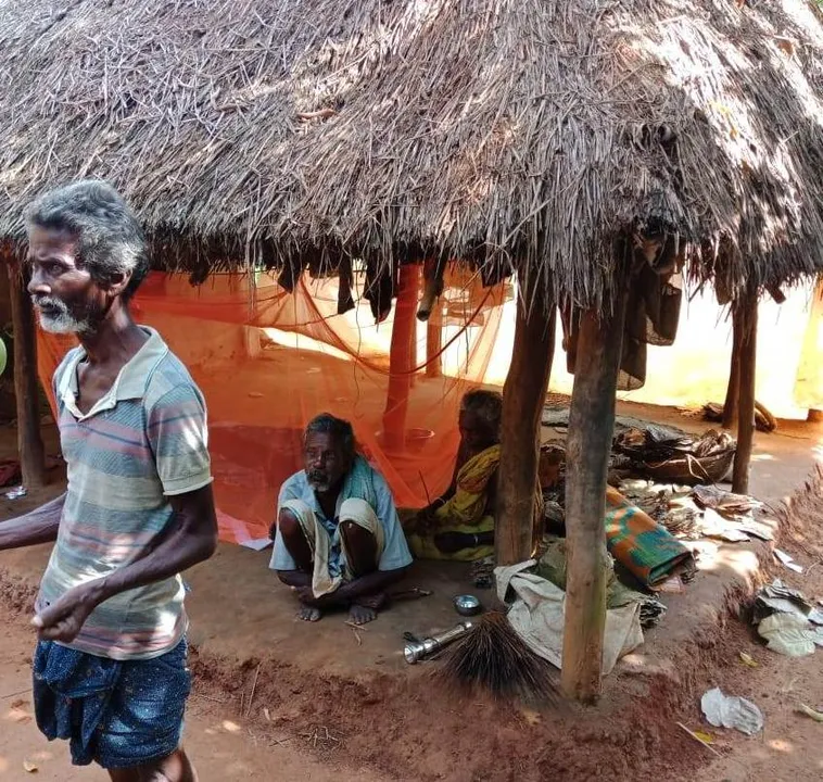 Odisha: Two of family die, 2 critical after consuming poisonous mushroom