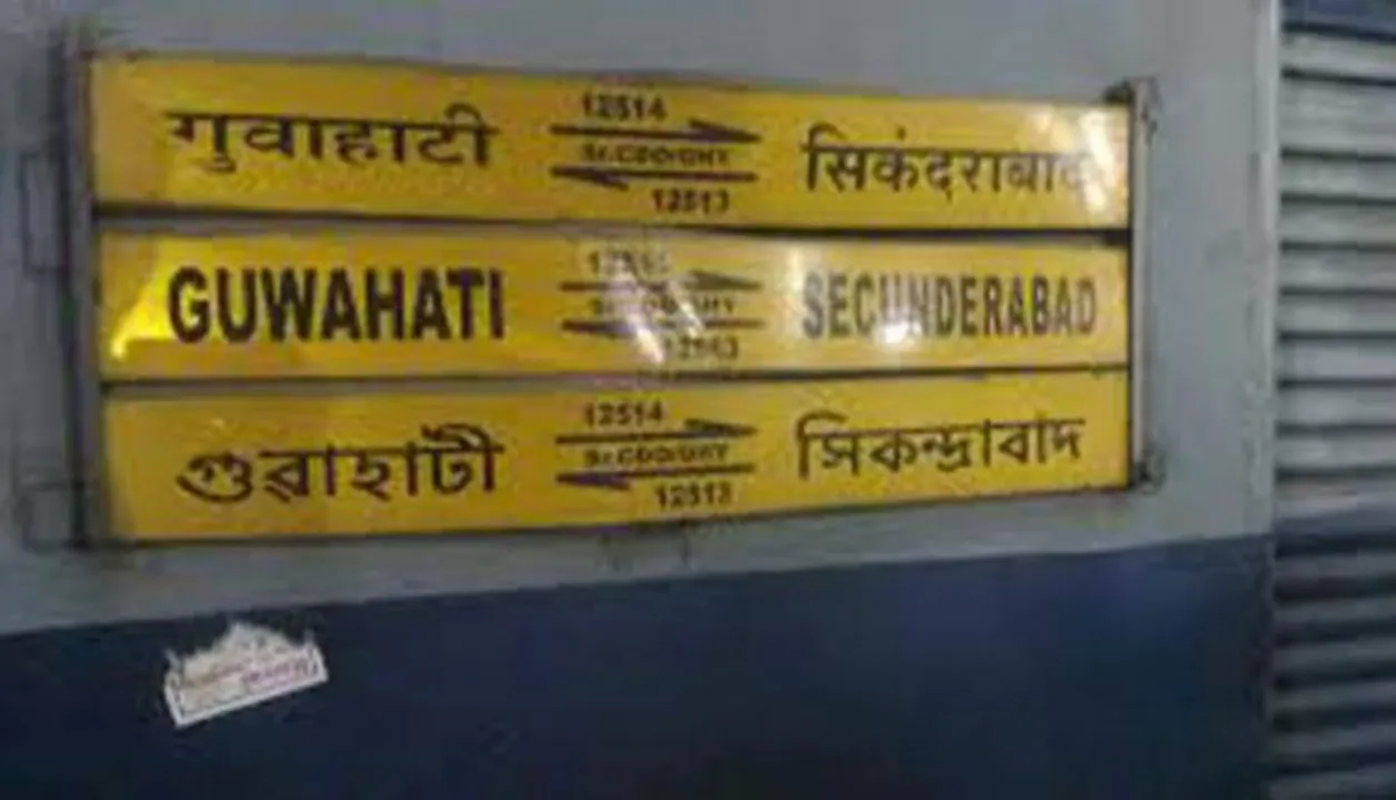  Woman gives birth to baby girl in stranded train in Odisha's Jaleswar station