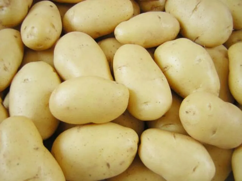  Pepsi's potato chips unit to come up in Odisha soon