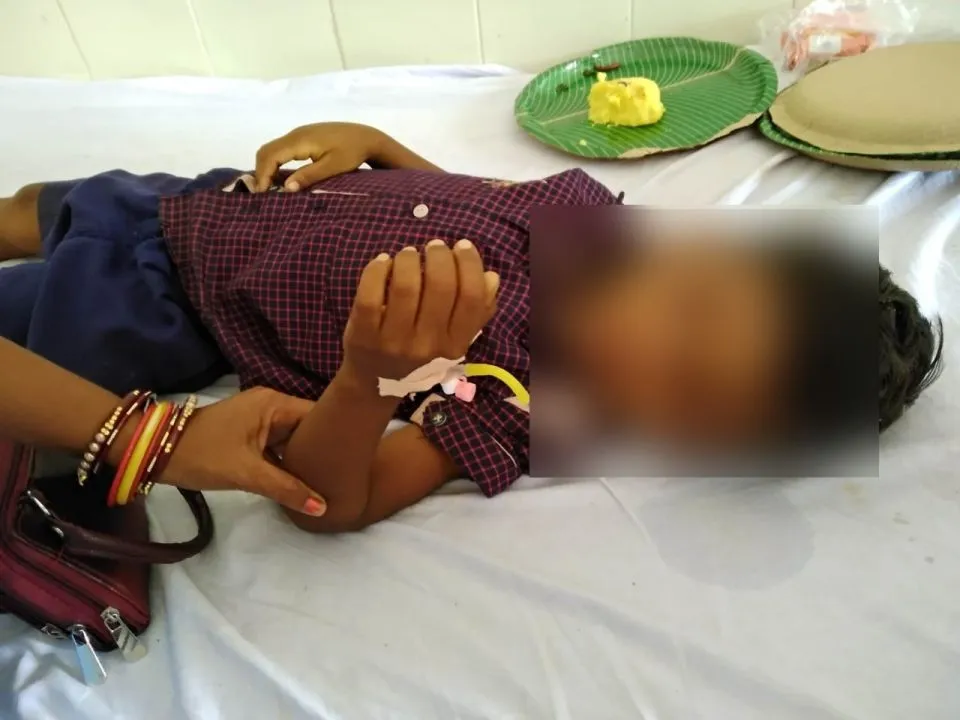  Student killed, five injured in honey bee attack in Odisha's Rayagada