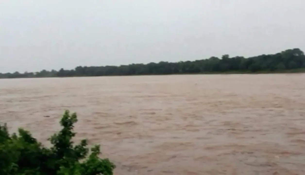  Odisha: Engineering student drowns in Kuakhai river, dies