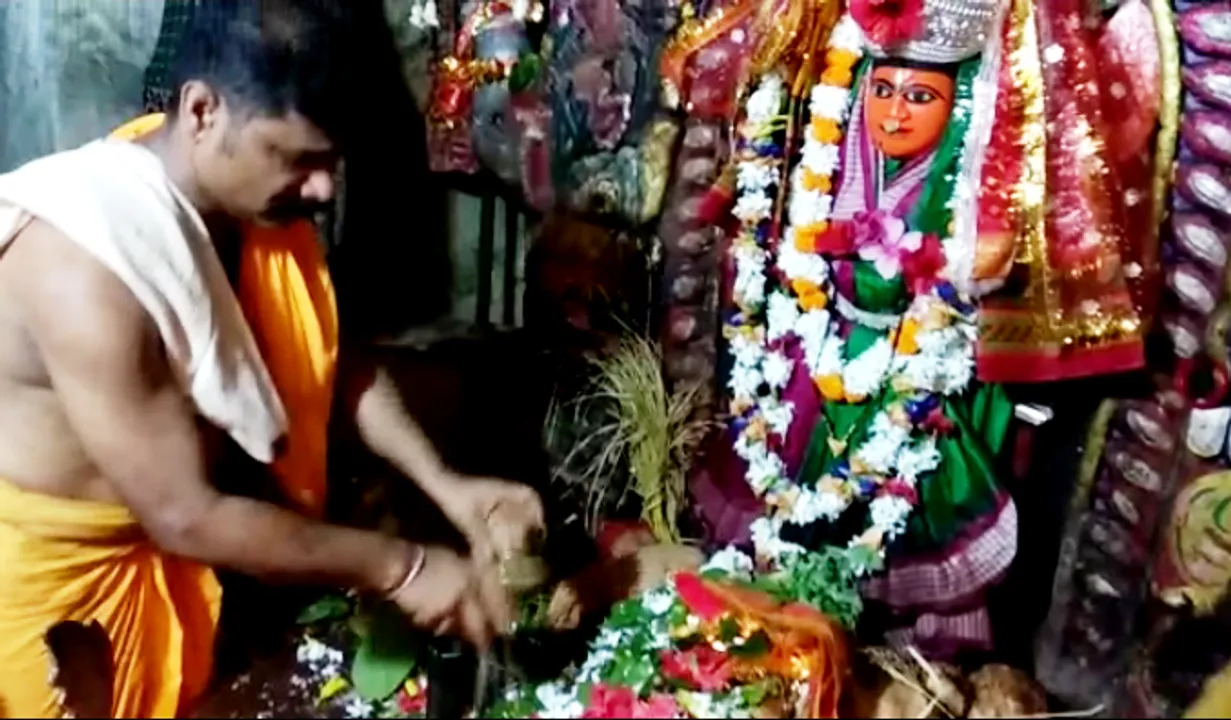  Festive spirit grips western Odisha as people celebrate Nuakhai